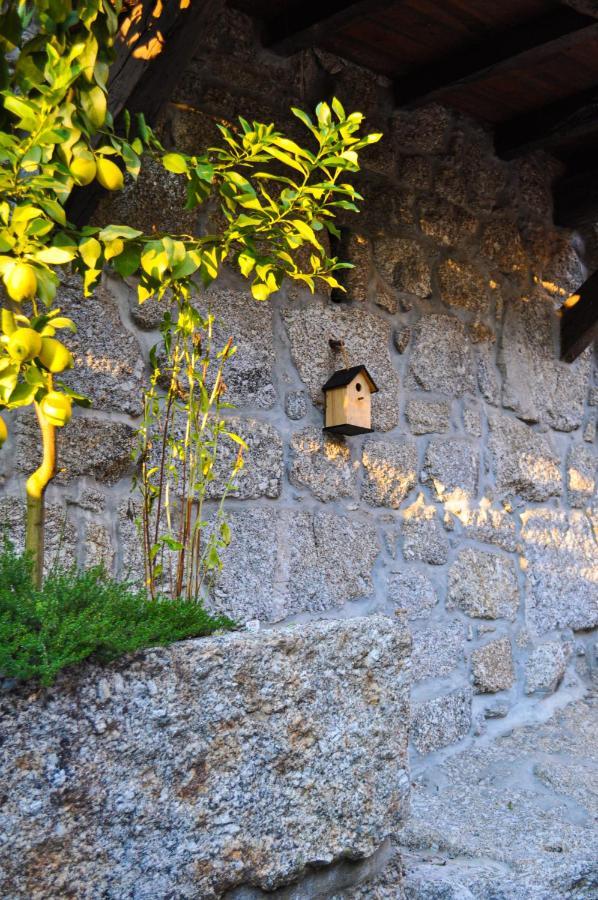 Quinta Das Bollotas Villa Фафе Екстериор снимка