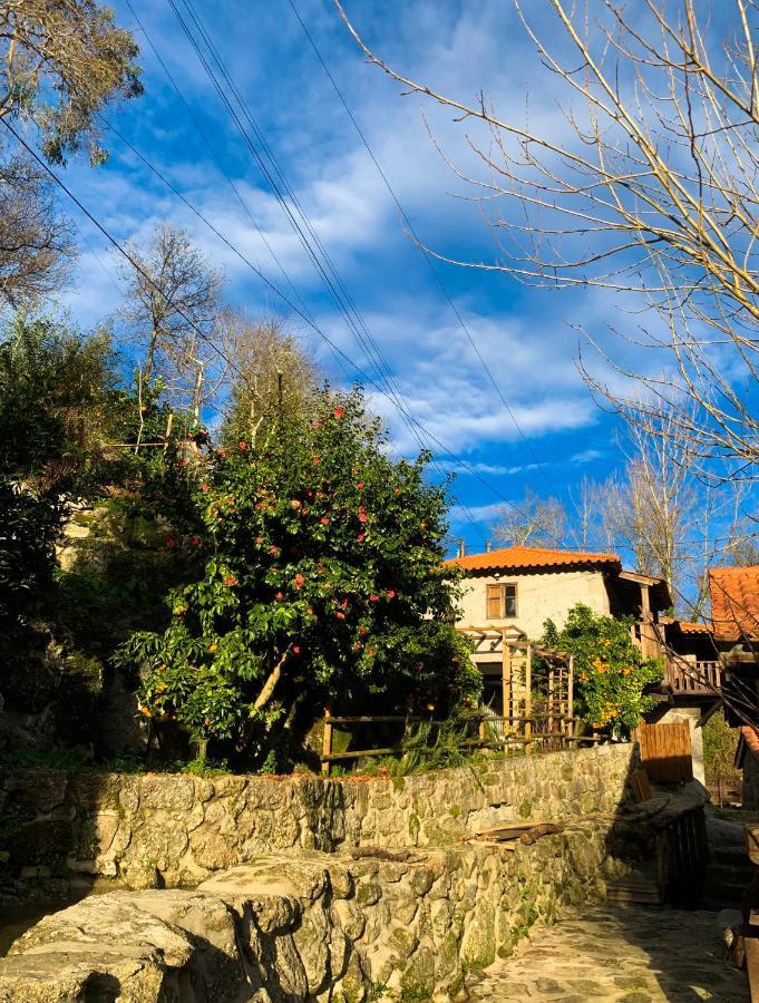 Quinta Das Bollotas Villa Фафе Екстериор снимка