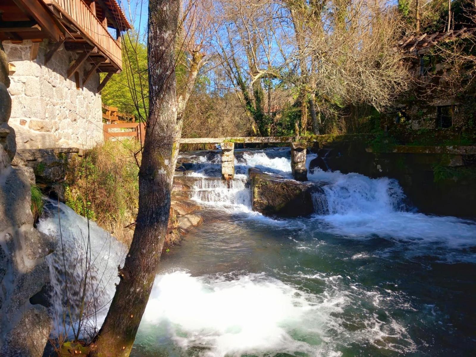 Quinta Das Bollotas Villa Фафе Стая снимка